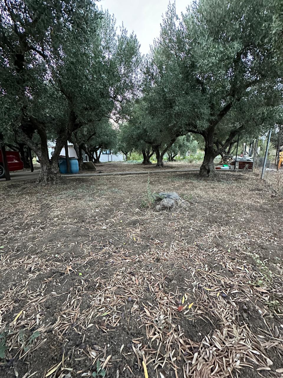 Halkidiki’de 2 Dönümlük Arsa Üzerinde Lüks Müstakil Ev – Satılık - Halkidiki, Yunanistan - 07.jpeg