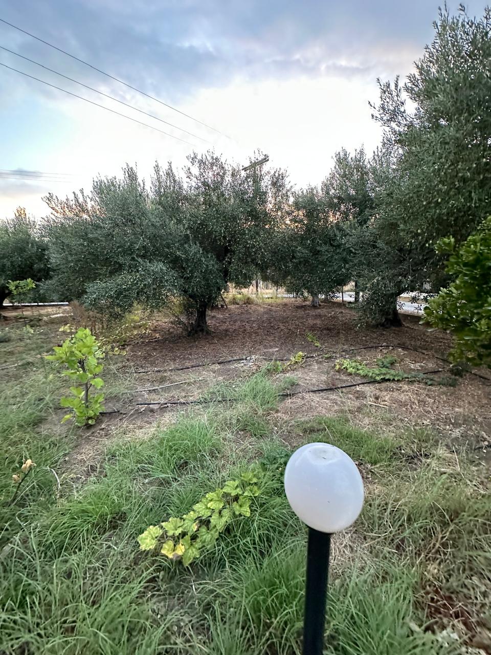 Halkidiki’de 2 Dönümlük Arsa Üzerinde Lüks Müstakil Ev – Satılık - Halkidiki, Yunanistan - 04.jpeg